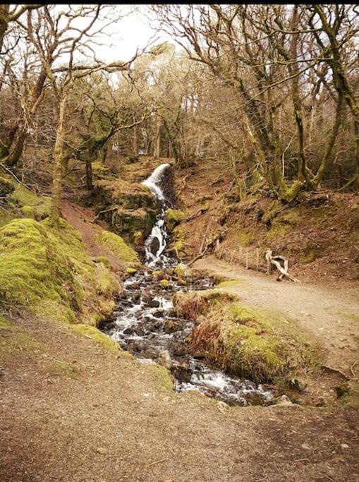 Holiday home Woodpecker Lodge- A Pet Friendly Rural Retreat Callington