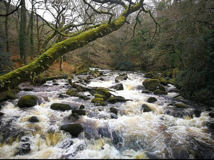 Woodpecker Lodge- A Pet Friendly Rural Retreat Holiday home